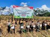 WUJUDKAN KETAHANAN  PANGAN, POLRI GELAR PANEN RAYA JAGUNG SERENTAK KUARTIL II DI DESA KETANDAN KECAMATAN KLATEN UTARA