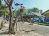 GOTONG ROYONG DEMI KESELAMATAN WARGA, RELAWAN KLATEN UTARA TURUN KE LAPANGAN