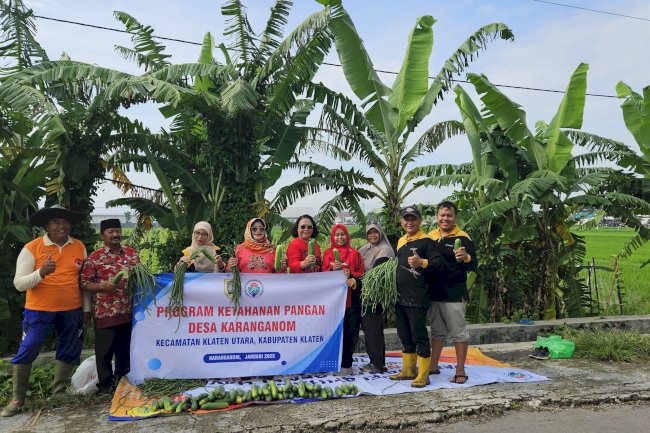 PANEN PALAWIJA DALAM PROGRAM KETAHANAN PANGAN DESA KARANGANOM
