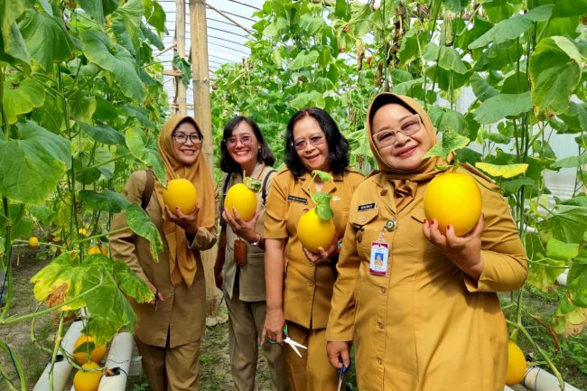 STUDI TIRU BUMDES KLATEN UTARA : MENGADOPSI INOVASI BUDIDAYA MELON LAVENDER DI KALIKOTES