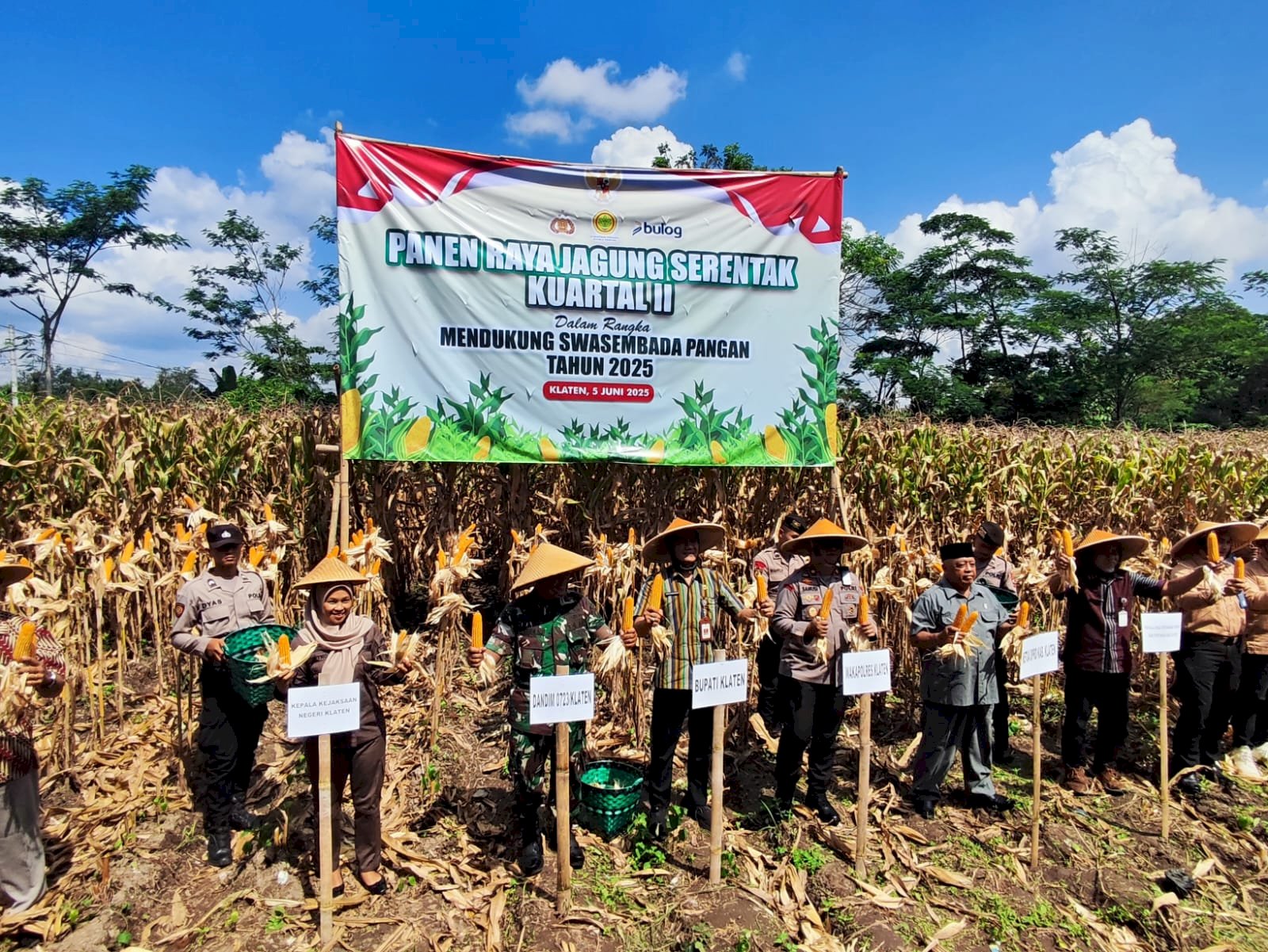 WUJUDKAN KETAHANAN PANGAN, POLRI GELAR PANEN RAYA JAGUNG SERENTAK KUARTIL II DI DESA KETANDAN KECAMATAN KLATEN UTARA